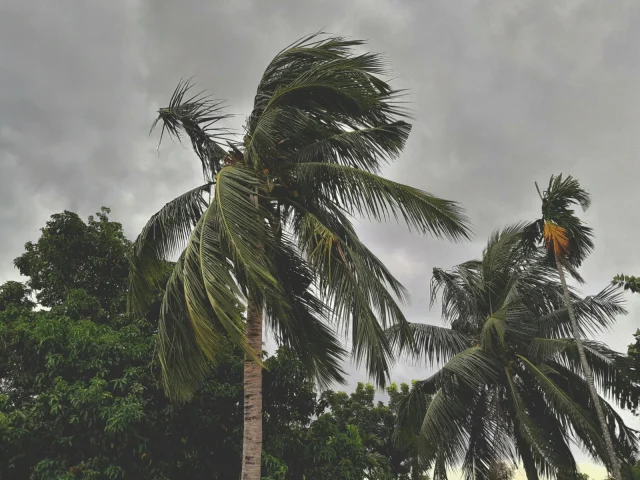 10 Steps Jacksonville Businesses Need to Take Before Hurricane Season to Protect Their IT